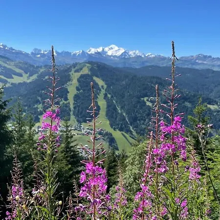 L'ouralou - Vue Panoramique * Les Gets